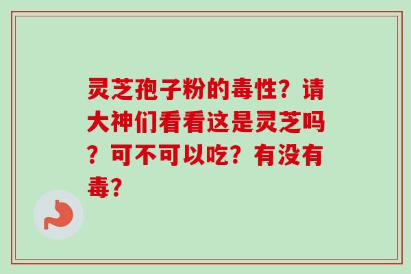 灵芝孢子粉的毒性？请大神们看看这是灵芝吗？可不可以吃？有没有毒？