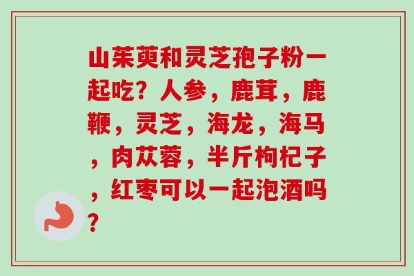 山茱萸和灵芝孢子粉一起吃?人参,鹿茸,鹿鞭,灵芝,海龙,海马,肉苁蓉,半斤枸杞子,红枣可以一起泡酒吗?