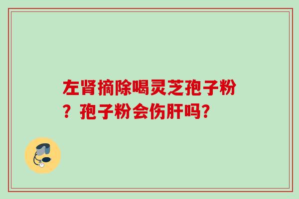 左肾摘除喝灵芝孢子粉？孢子粉会伤肝吗？