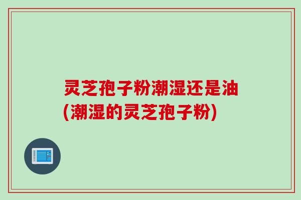 灵芝孢子粉潮湿还是油(潮湿的灵芝孢子粉)