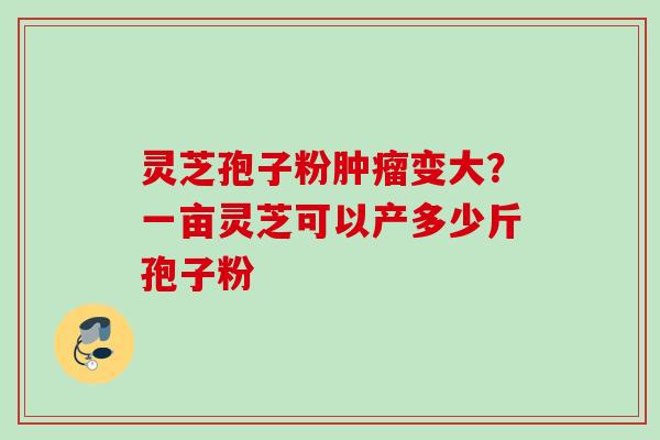 灵芝孢子粉肿瘤变大？一亩灵芝可以产多少斤孢子粉