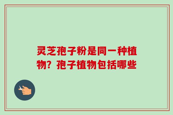 灵芝孢子粉是同一种植物？孢子植物包括哪些
