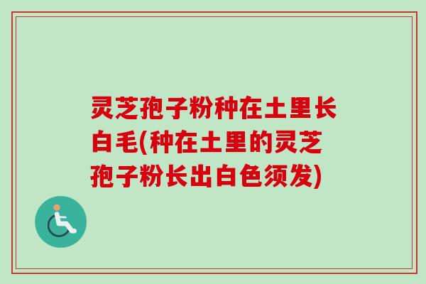 灵芝孢子粉种在土里长白毛(种在土里的灵芝孢子粉长出白色须发)