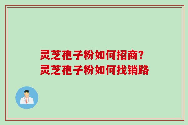 灵芝孢子粉如何招商?灵芝孢子粉如何找销路