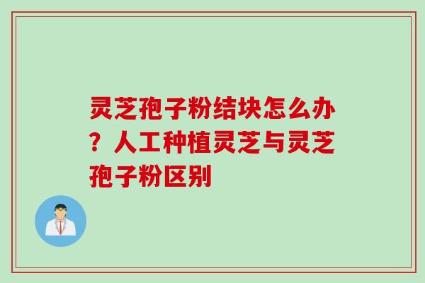 灵芝孢子粉结块怎么办?人工种植灵芝与灵芝孢子粉区别