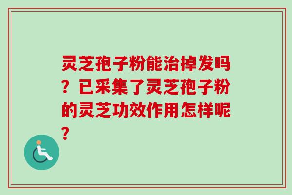 灵芝孢子粉能治掉发吗?已采集了灵芝孢子粉的灵芝功效作用怎样呢?