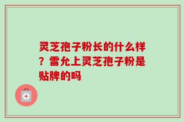 灵芝孢子粉长的什么样?雷允上灵芝孢子粉是贴牌的吗