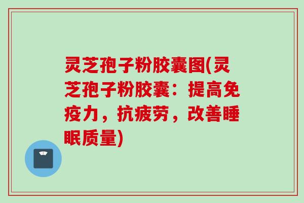 灵芝孢子粉胶囊图(灵芝孢子粉胶囊：提高免疫力，抗疲劳，改善睡眠质量)
