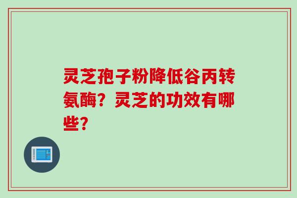 灵芝孢子粉降低谷丙转氨酶?灵芝的功效有哪些?
