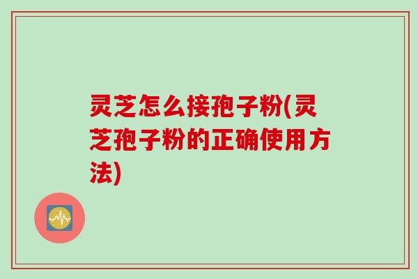 灵芝怎么接孢子粉(灵芝孢子粉的正确使用方法)