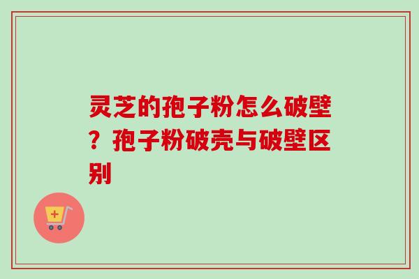 灵芝的孢子粉怎么破壁？孢子粉破壳与破壁区别