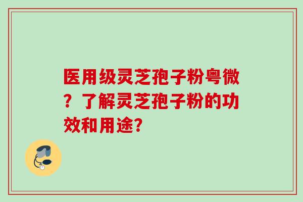 医用级灵芝孢子粉粤微？了解灵芝孢子粉的功效和用途？