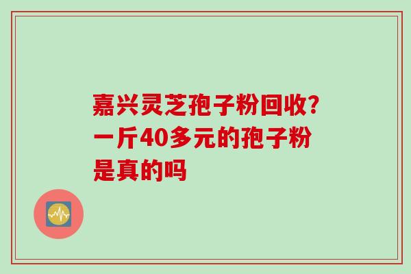 嘉兴灵芝孢子粉回收？一斤40多元的孢子粉是真的吗