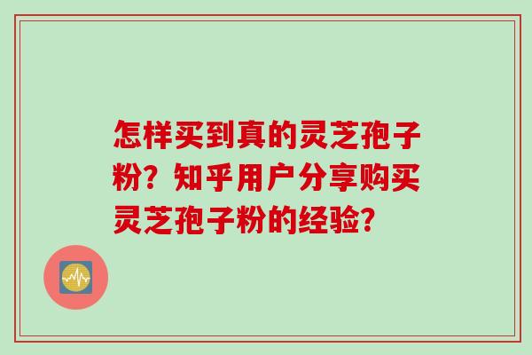 怎样买到真的灵芝孢子粉？知乎用户分享购买灵芝孢子粉的经验？