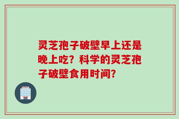 灵芝孢子破壁早上还是晚上吃?科学的灵芝孢子破壁食用时间?