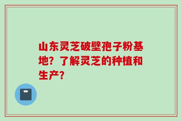 山东灵芝破壁孢子粉基地？了解灵芝的种植和生产？