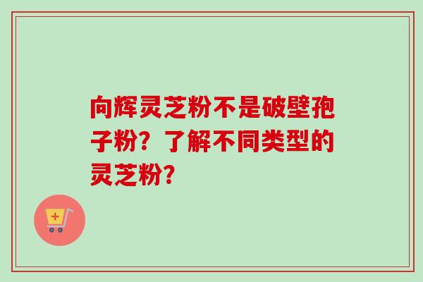向辉灵芝粉不是破壁孢子粉?了解不同类型的灵芝粉?