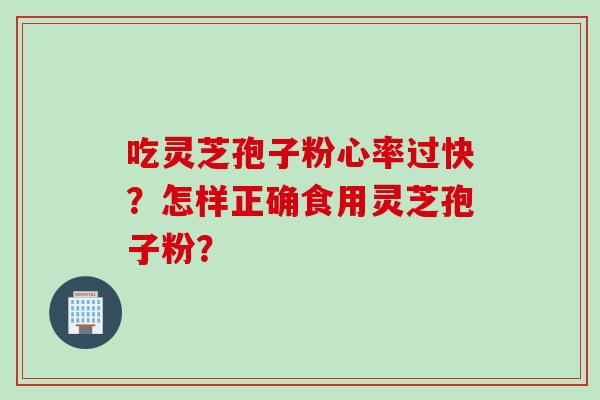 吃灵芝孢子粉心率过快？怎样正确食用灵芝孢子粉？