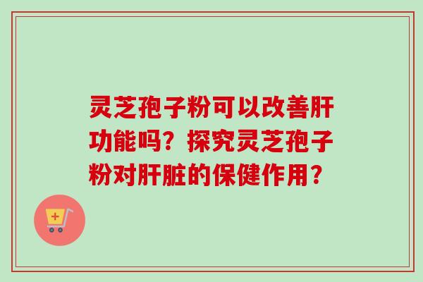 灵芝孢子粉可以改善肝功能吗?探究灵芝孢子粉对肝脏的保健作用?