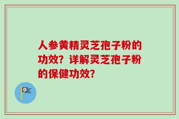 人参黄精灵芝孢子粉的功效？详解灵芝孢子粉的保健功效？