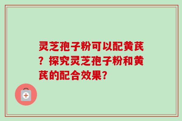 灵芝孢子粉可以配黄芪？探究灵芝孢子粉和黄芪的配合效果？