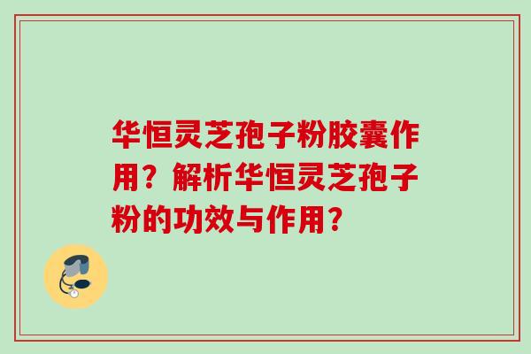 华恒灵芝孢子粉胶囊作用？解析华恒灵芝孢子粉的功效与作用？