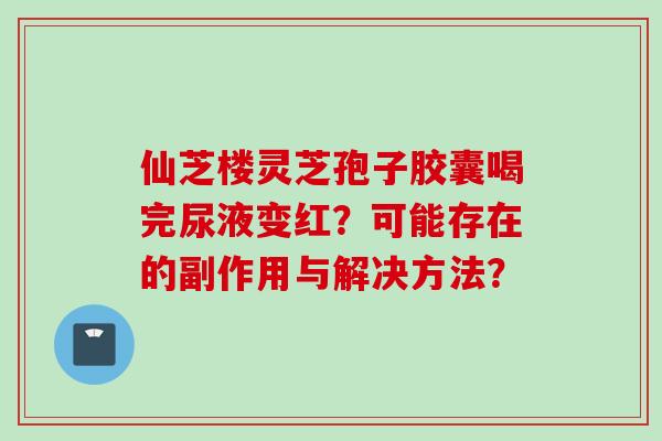 仙芝楼灵芝孢子胶囊喝完尿液变红？可能存在的副作用与解决方法？