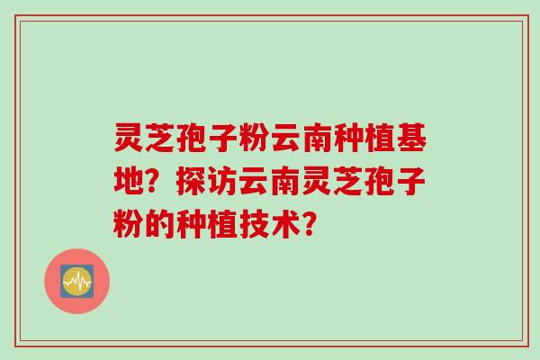 灵芝孢子粉云南种植基地？探访云南灵芝孢子粉的种植技术？