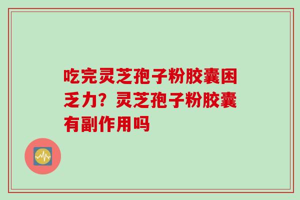 吃完灵芝孢子粉胶囊困乏力？灵芝孢子粉胶囊有副作用吗