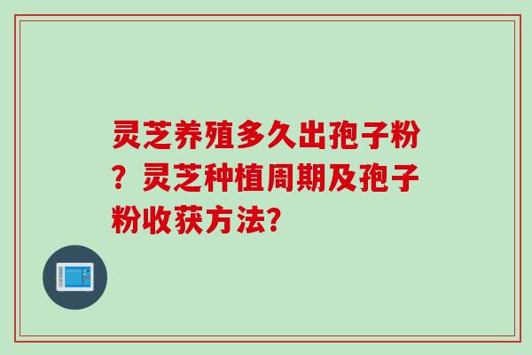 灵芝养殖多久出孢子粉?灵芝种植周期及孢子粉收获方法?