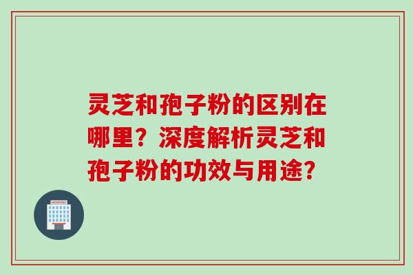 灵芝和孢子粉的区别在哪里？深度解析灵芝和孢子粉的功效与用途？