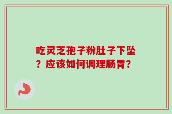 吃灵芝孢子粉肚子下坠?应该如何调理肠胃?