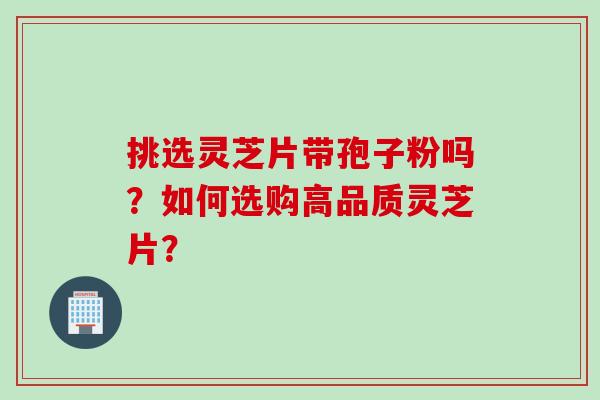 挑选灵芝片带孢子粉吗?如何选购高品质灵芝片?