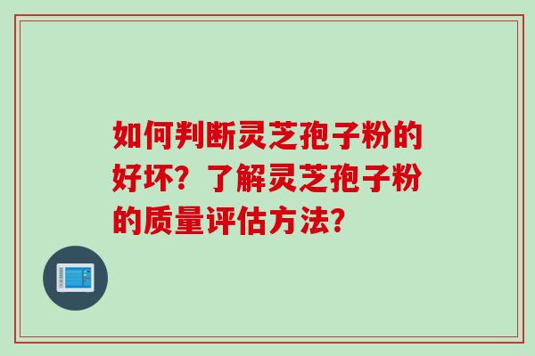 如何判断灵芝孢子粉的好坏?了解灵芝孢子粉的质量评估方法?