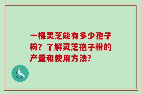 一棵灵芝能有多少孢子粉?了解灵芝孢子粉的产量和使用方法?