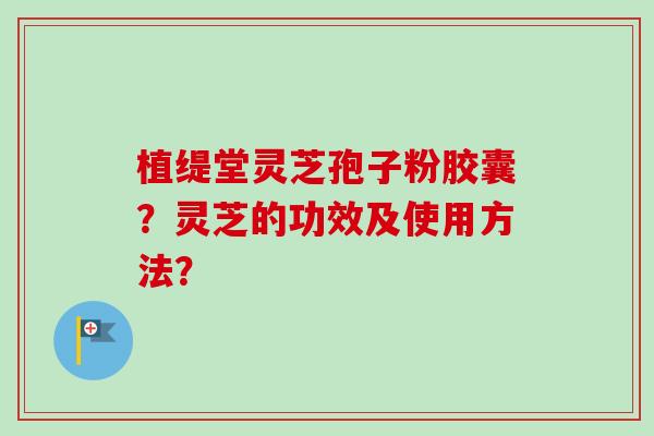 植缇堂灵芝孢子粉胶囊?灵芝的功效及使用方法?