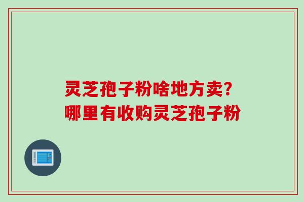 灵芝孢子粉啥地方卖？哪里有收购灵芝孢子粉