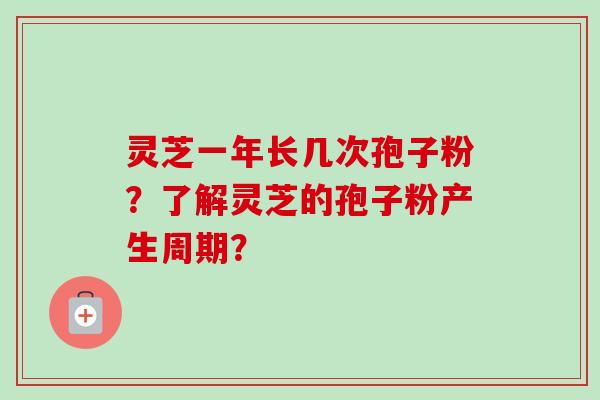 灵芝一年长几次孢子粉？了解灵芝的孢子粉产生周期？