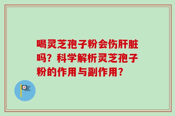 喝灵芝孢子粉会伤肝脏吗？科学解析灵芝孢子粉的作用与副作用？