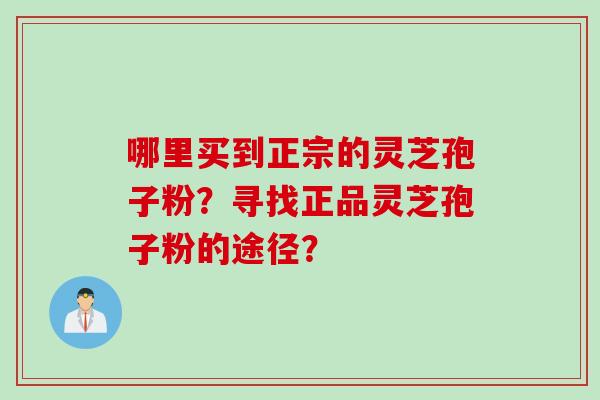 哪里买到正宗的灵芝孢子粉？寻找正品灵芝孢子粉的途径？