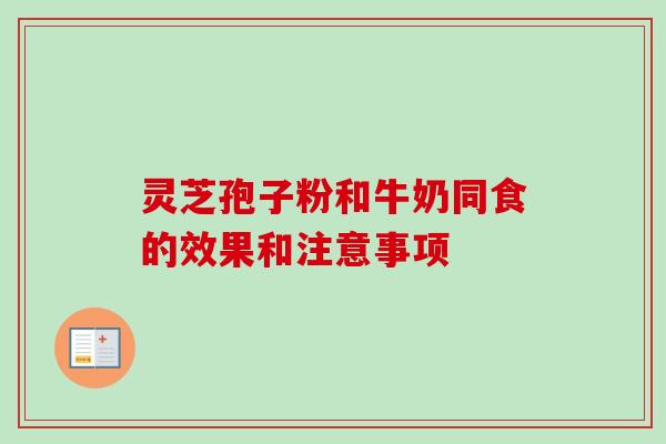 灵芝孢子粉和牛奶同食的效果和注意事项
