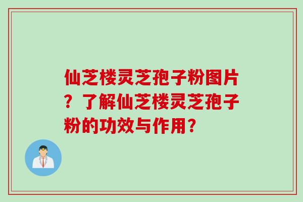 仙芝楼灵芝孢子粉图片?了解仙芝楼灵芝孢子粉的功效与作用?