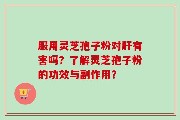 服用灵芝孢子粉对肝有害吗？了解灵芝孢子粉的功效与副作用？