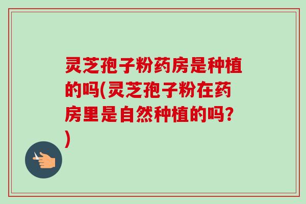 灵芝孢子粉药房是种植的吗(灵芝孢子粉在药房里是自然种植的吗？)