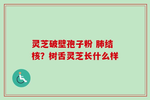 灵芝破壁孢子粉 肺结核？树舌灵芝长什么样
