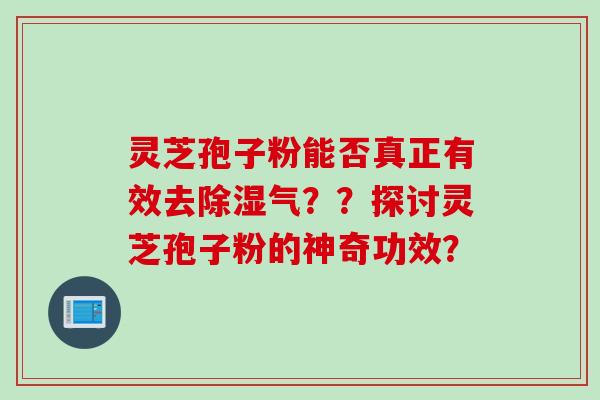 灵芝孢子粉能否真正有效去除湿气??探讨灵芝孢子粉的神奇功效?