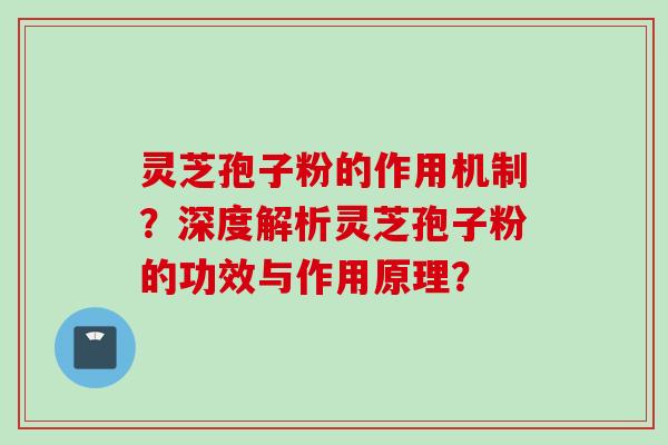 灵芝孢子粉的作用机制?深度解析灵芝孢子粉的功效与作用原理?