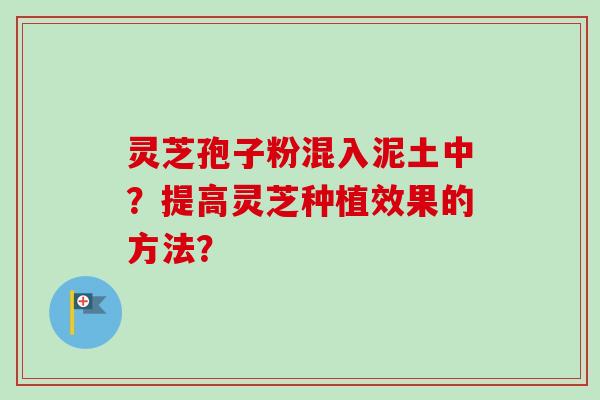 灵芝孢子粉混入泥土中?提高灵芝种植效果的方法? 灵芝孢子粉混入泥土中?提高灵芝种植效果的方法?