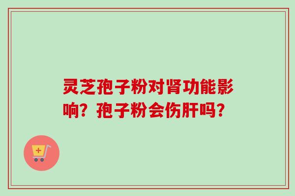 灵芝孢子粉对肾功能影响？孢子粉会伤肝吗？