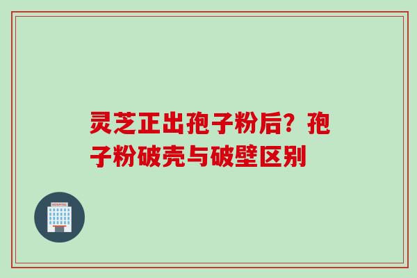 灵芝正出孢子粉后？孢子粉破壳与破壁区别